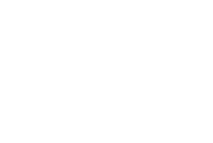 目で耳で体で感じる冬花火。