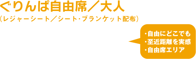 ぐりんぱ自由席／大人（レジャーシート／シート・ブランケット配布）