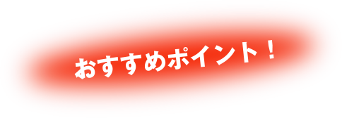 おすすめポイント