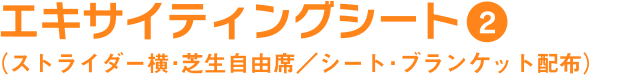 エキサイティングシート2（ストライダー横・芝生自由席／シート・ブランケット配布）