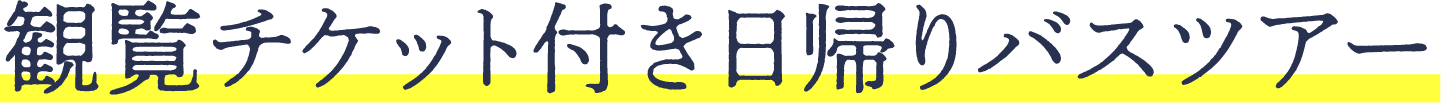 観覧チケット付き日帰りバスツアー