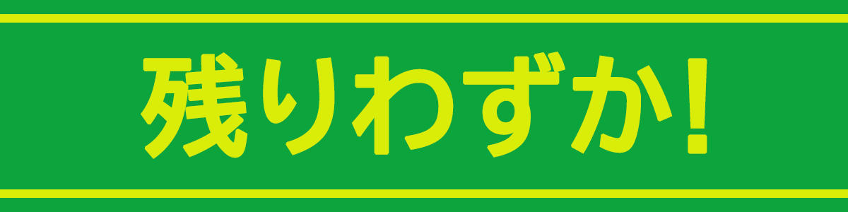 残りわずか!