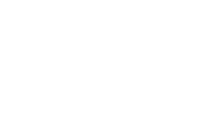 目で耳で体で感じる冬花火。